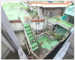  2025Ÿ��20719  ���ð��