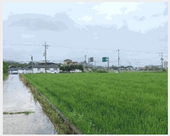  2025Ÿ��20776  ����