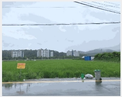  2025Ÿ��20776  ����