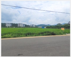  2025Ÿ��20776  ����