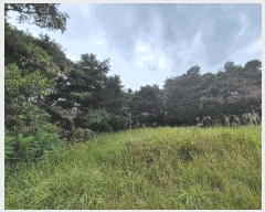  2025Ÿ��20791 �泲 �Ծȱ� ���ϸ� ������ 400      ����(��1)���