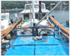  2025Ÿ��20814 �泲 â���� ���������� ��ȣ�� ��ȣ��      ���ڰ��