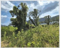  2025Ÿ��20820 �泲 â���� ���������� ���ϸ� ��Ƽ�� 465     ����(��)���