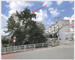  2025Ÿ��20824 �泲 â���� ����ȸ���� �ռ��� 694-1 ���о���Ʈ 1�� 2��220ȣ   ����Ʈ���