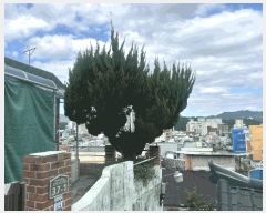  2025Ÿ��20859 �泲 â���� ���������� ��ȣ�� 97-32      ���ð��