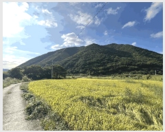  2025Ÿ��20870 �泲 â���� ���������� ������ ��ϸ� 1014-1     ����(��)���