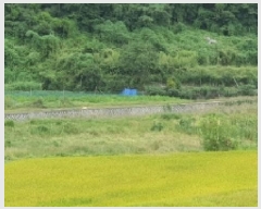  2025Ÿ��20870 �泲 â���� ���������� ������ ��ϸ� 1014-1     ����(��)���