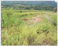  2025Ÿ��20870 �泲 â���� ���������� ������ ��ϸ� 1014-1     ����(��)���