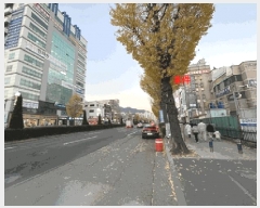  2025Ÿ��20969 �泲 â���� ����ȸ���� �ռ��� 722-10 4��401ȣ     ��,�繫�ǰ��