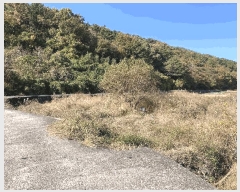  2025Ÿ��20974 �泲 â���� ���������� ������ �ö��� 272-2     ����(��)���