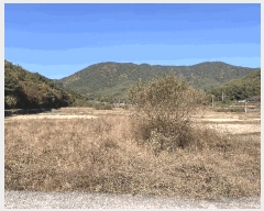  2025Ÿ��20974 �泲 â���� ���������� ������ �ö��� 272-2     ����(��)���