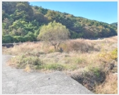  2025Ÿ��20974 �泲 â���� ���������� ������ �ö��� 272-2     ����(��)���