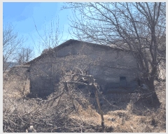  2025Ÿ57 泲 Ծȱ  ָ 915      (󰡽ü)