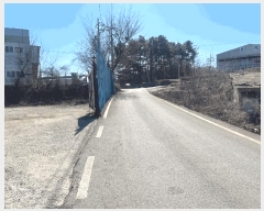  2025Ÿ57 泲 Ծȱ  ָ 915      (󰡽ü)