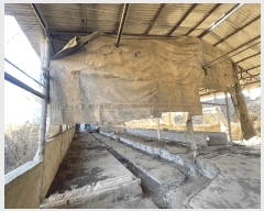  2025Ÿ57 泲 Ծȱ  ָ 915      (󰡽ü)