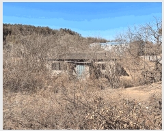  2025Ÿ57 泲 Ծȱ  ָ 915      (󰡽ü)