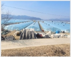  2025Ÿ��166 �泲 �Ծȱ� ���ϸ� ���̸� 2072-8      ����(��)���