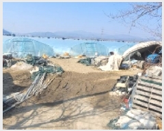  2025Ÿ��166 �泲 �Ծȱ� ���ϸ� ���̸� 2072-8      ����(��)���