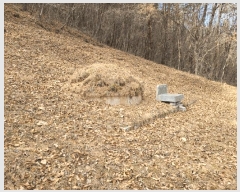  2025Ÿ��172  �Ӿ߰��