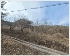  2025Ÿ��172  �Ӿ߰��