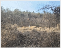  2025Ÿ��172  �Ӿ߰��