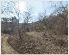  2025Ÿ��172  �Ӿ߰��