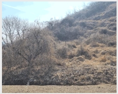  2025Ÿ��177 �泲 �Ծȱ� ĥ�ϸ� ������ 1248      ����(������)���