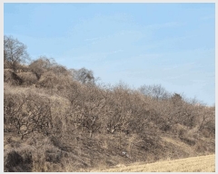  2025Ÿ��177 �泲 �Ծȱ� ĥ�ϸ� ������ 1248      ����(������)���