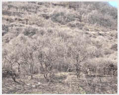  2025Ÿ��177 �泲 �Ծȱ� ĥ�ϸ� ������ 1248      ����(������)���