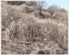  2025Ÿ��177 �泲 �Ծȱ� ĥ�ϸ� ������ 1248      ����(������)���