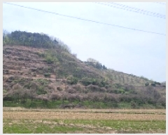  2025Ÿ��177 �泲 �Ծȱ� ĥ�ϸ� ������ 1248      ����(������)���