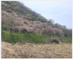  2025Ÿ��177 �泲 �Ծȱ� ĥ�ϸ� ������ 1248      ����(������)���