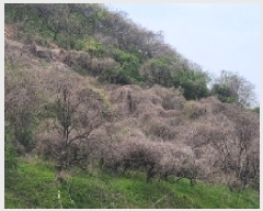  2025Ÿ��177 �泲 �Ծȱ� ĥ�ϸ� ������ 1248      ����(������)���