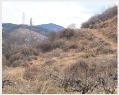  2025Ÿ��177 �泲 �Ծȱ� ĥ�ϸ� ������ 1248      ����(������)���