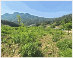  2025Ÿ199 泲 â   Ͼϸ 1085-7     (1)