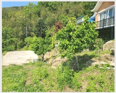  2025Ÿ199 泲 â   Ͼϸ 1085-7     (1)