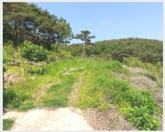  2025Ÿ199 泲 â   Ͼϸ 1085-7     (1)