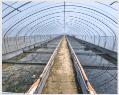  2025Ÿ208 泲 Ծȱ ĥϸ  1284-3      ()