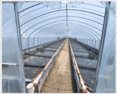  2025Ÿ208 泲 Ծȱ ĥϸ  1284-3      ()