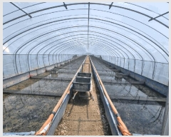  2025Ÿ208 泲 Ծȱ ĥϸ  1284-3      ()