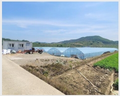  2025Ÿ208 泲 Ծȱ ĥϸ  1284-3      ()