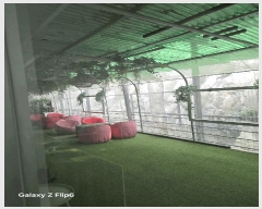  2025Ÿ��213  �ٸ��ü����