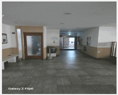  2025Ÿ��213  �ٸ��ü����