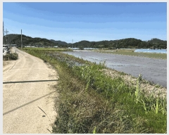  2025Ÿ225 泲 Ծȱ  θ 1149-2      ()