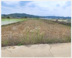  2025Ÿ225 泲 Ծȱ  θ 1149-2      ()