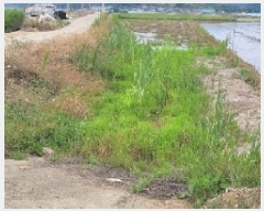  2025Ÿ225 泲 Ծȱ  θ 1149-2      ()