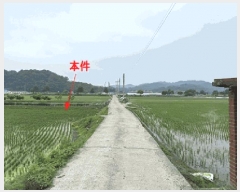  2025Ÿ��238  ����