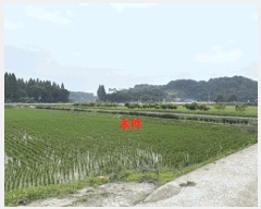  2025Ÿ��238  ����