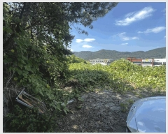  2025Ÿ��252  â�����