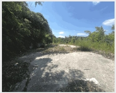  2025Ÿ��252  â�����